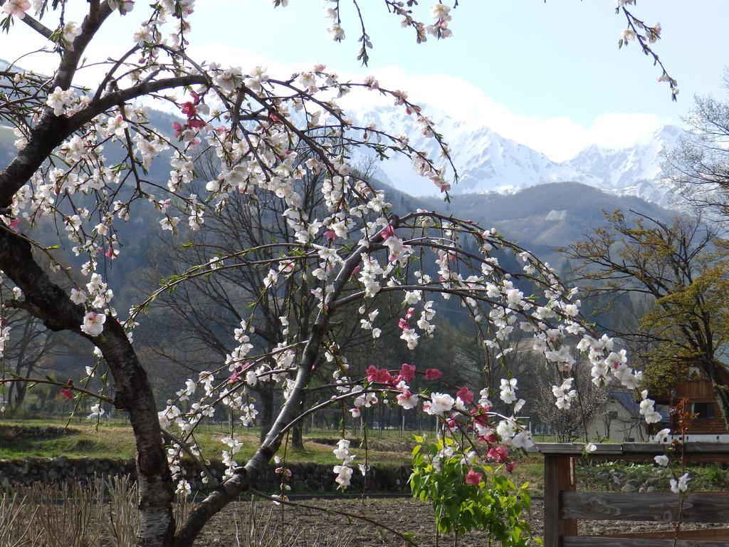 Heidihof Hotel Hakuba Zewnętrze zdjęcie